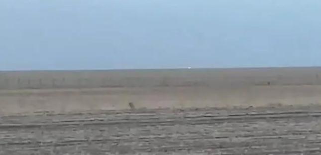 中蒙邊境線明火已被撲滅，為什么蒙古那么容易發生草原火災？