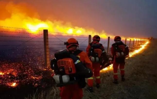 中蒙邊境線明火已被撲滅，為什么蒙古那么容易發生草原火災？